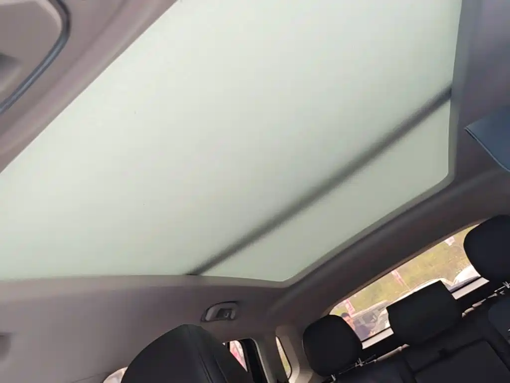 Roewe RX5 MAX 2020 — фото 18