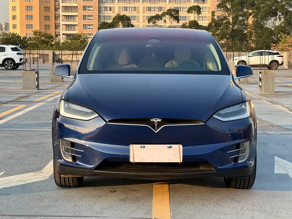 Tesla Model X 2017 — фото 5