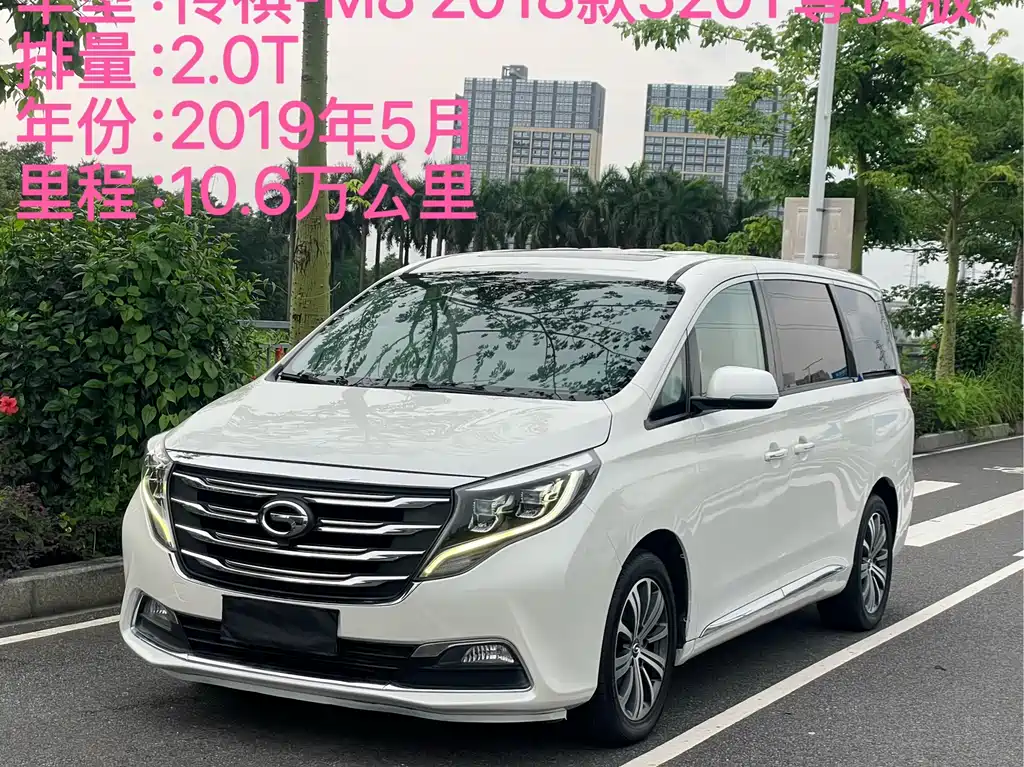 GAC Motor Trumpchi M8 2019 — фото 2