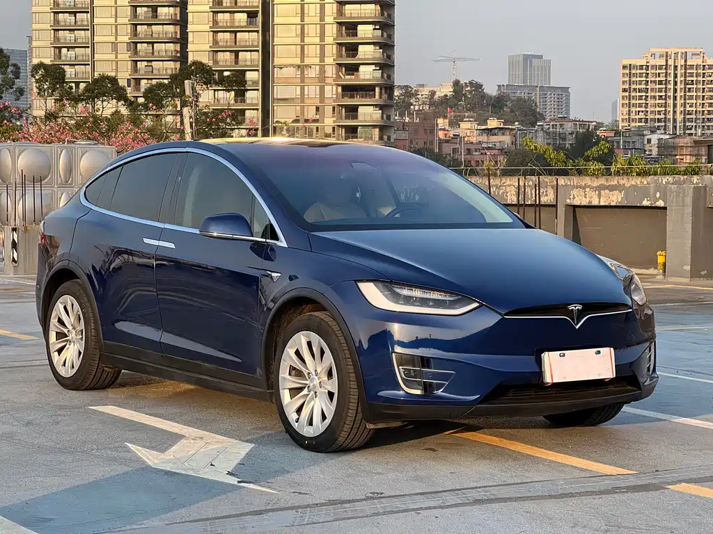 Tesla Model X 2017 — фото 2