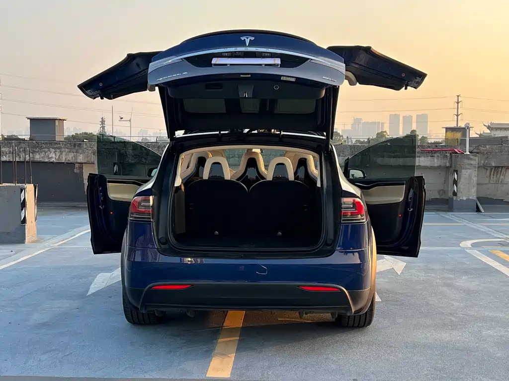 Tesla Model X 2017 — фото 25