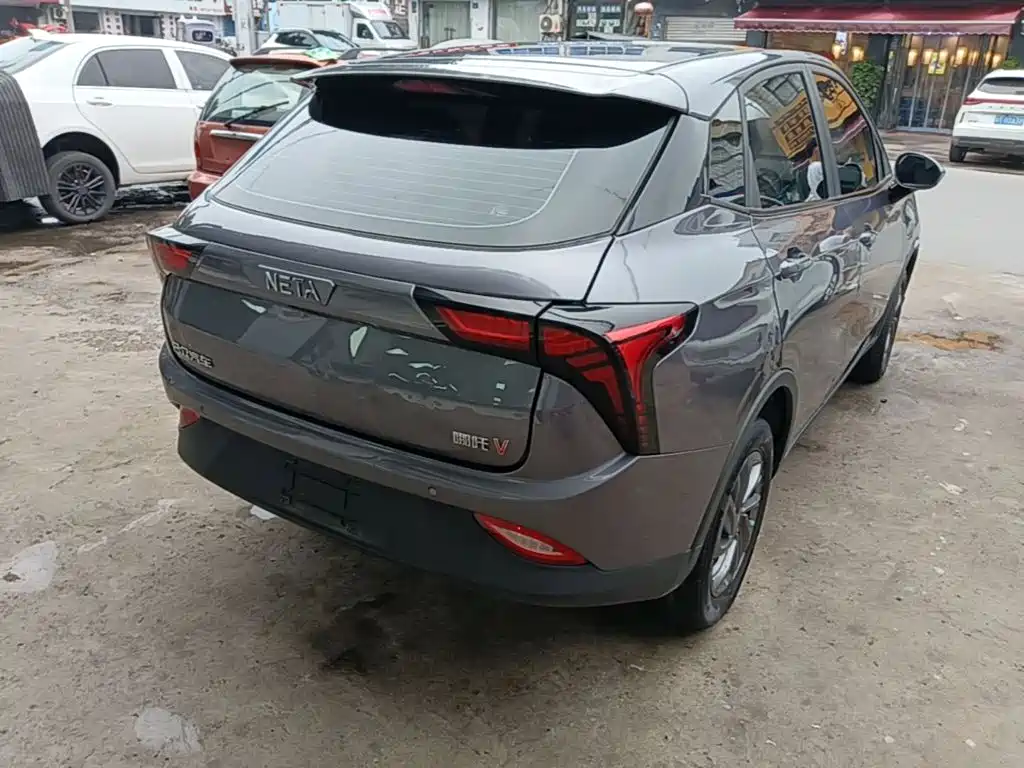 Neta V 2021