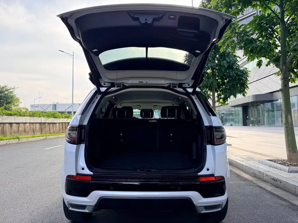 Land Rover Discovery Sport 2020 — фото 33
