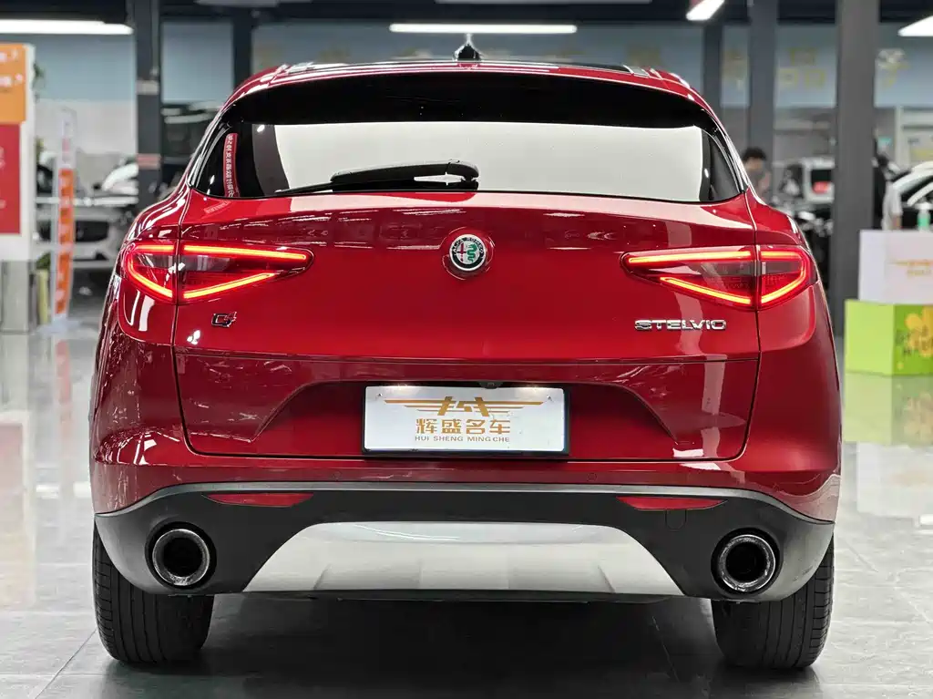 Alfa Romeo Stelvio 2019 — фото 9