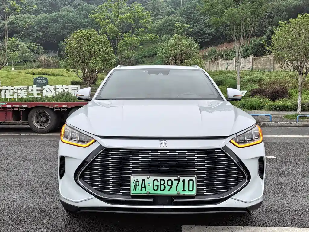 BYD PLUS New Energy 2021 — фото 2