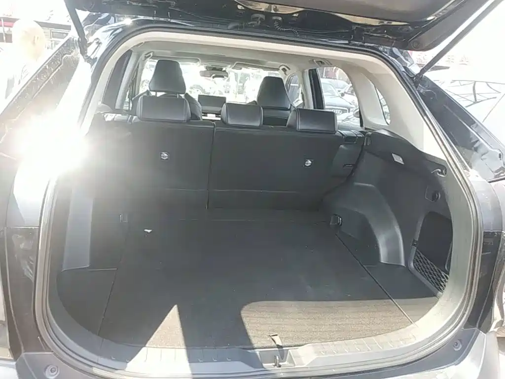 Toyota Wildlander 2023 — фото 19