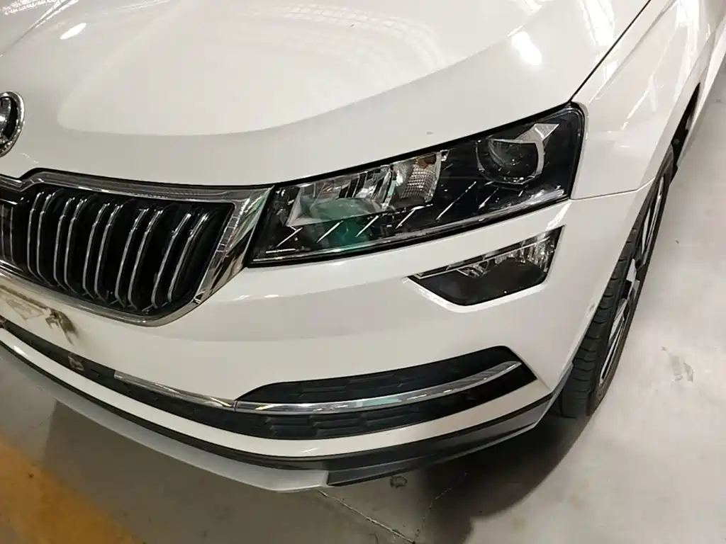 Skoda Karoq 2019 — фото 24