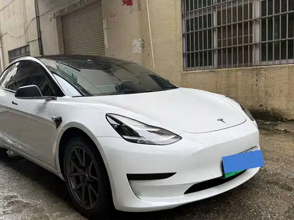 Tesla Model 3 2020