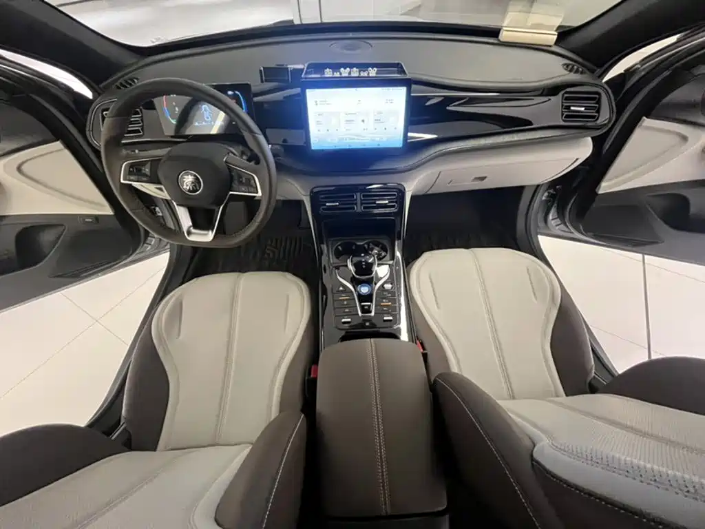 BYD Qin PLUS 2024 — фото 18