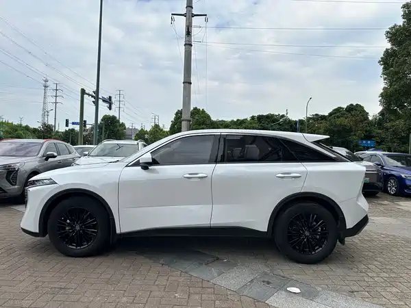 Venucia Big V 2022