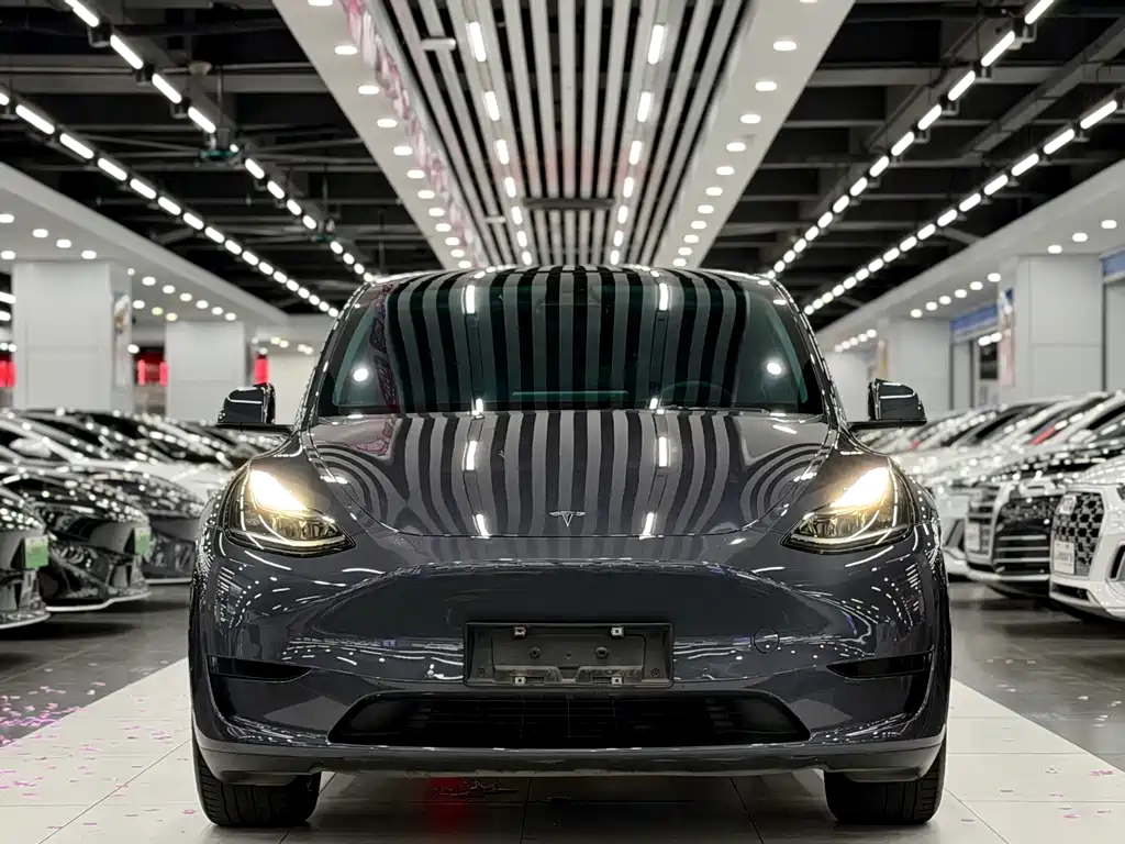 Tesla Model Y 2022 — фото 2
