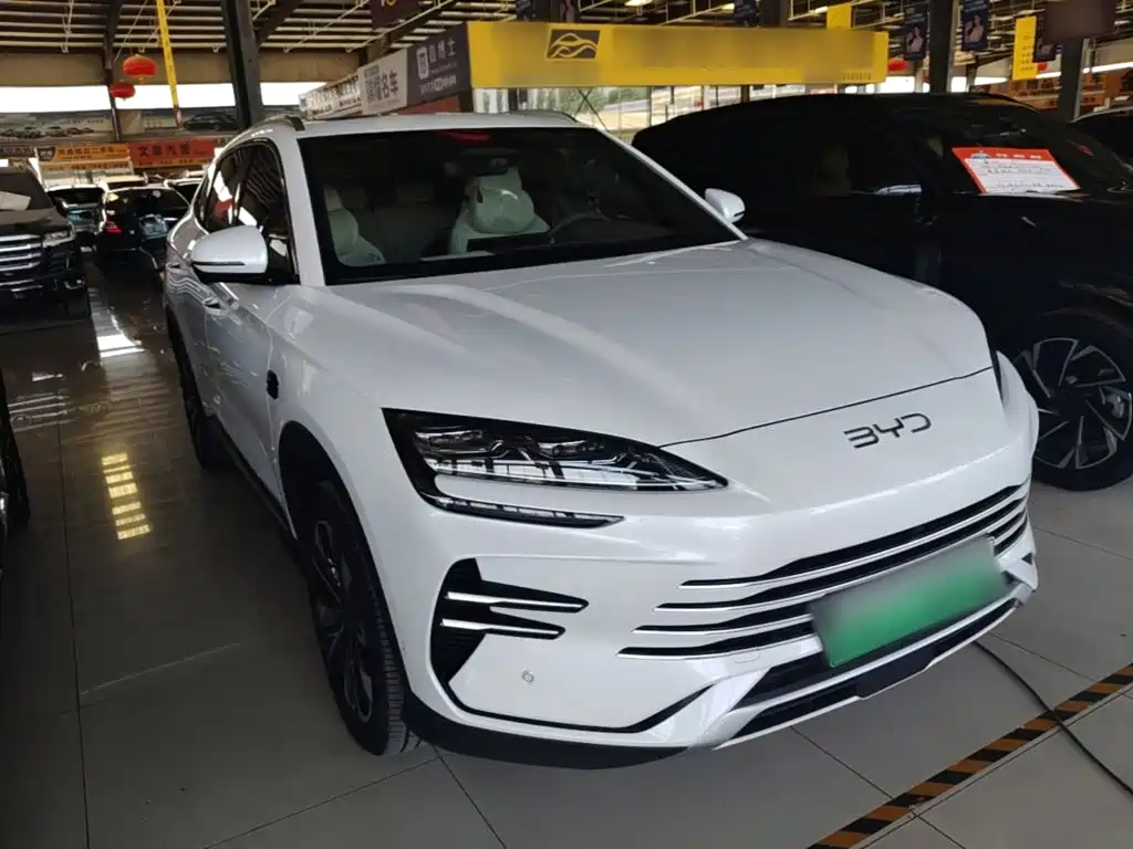 BYD PLUS New Energy 2025 — фото 4
