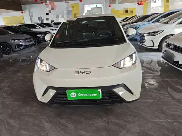 BYD Seagull 2025