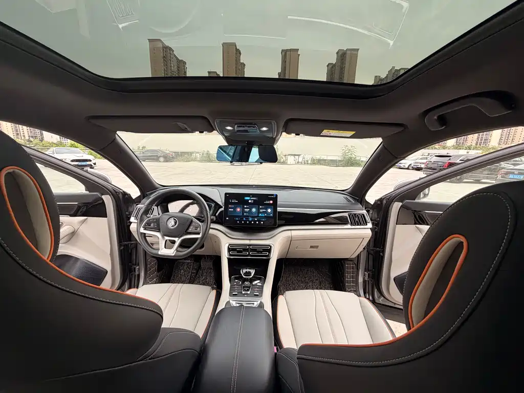 BYD Song PLUS New Energy 2022 — фото 9