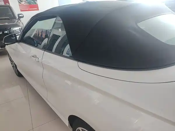 BMW 2 Series 2020