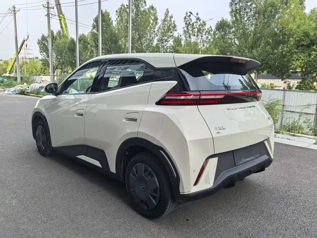 BYD Seagull 2024