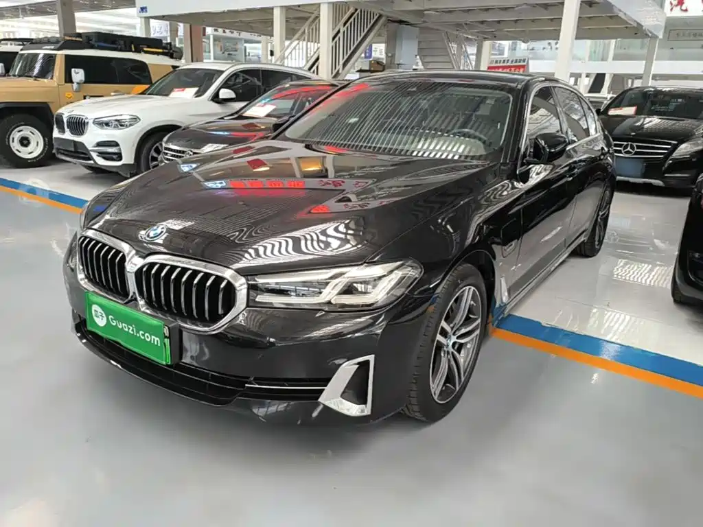 BMW 5 Series New Energy 2022