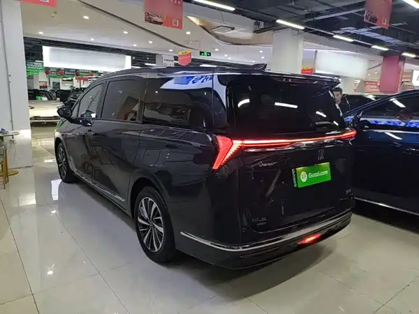 Buick GL8 New Energy 2025