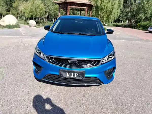Geely Binrui 2019