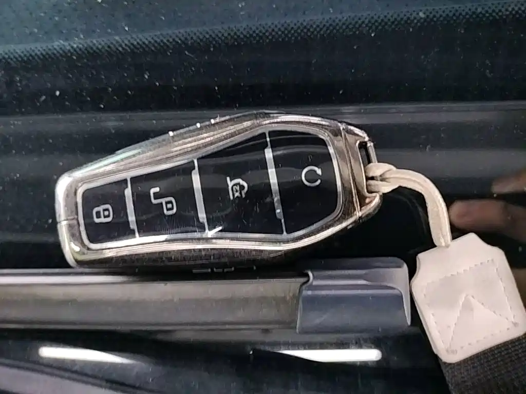 BYD Song L DM-i 2025 — фото 9