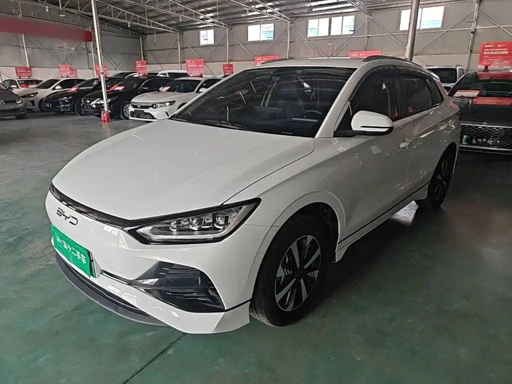 BYD e2 2024