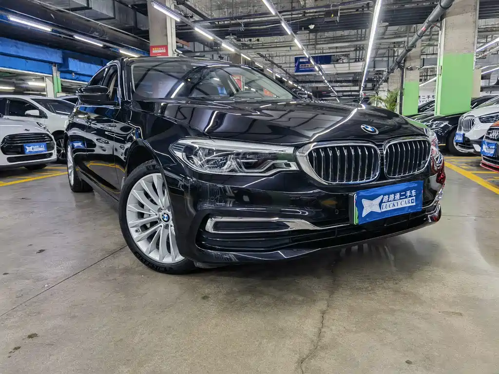 BMW 5 Series New Energy 2020 — фото 3