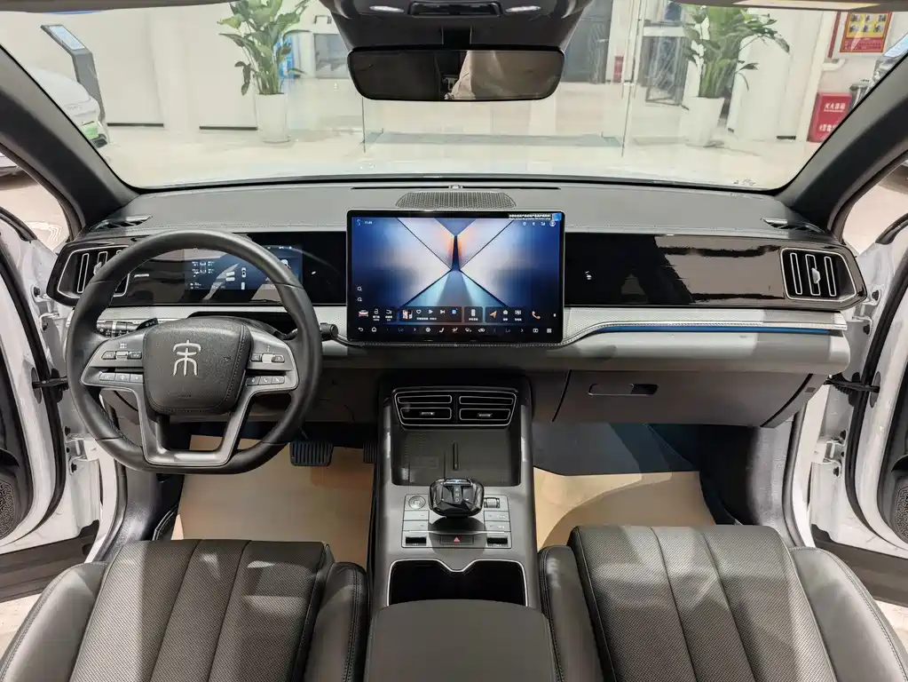 BYD Song Pro New Energy 2025 — фото 6