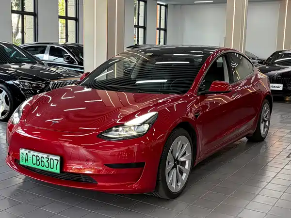 Tesla Model 3 2021