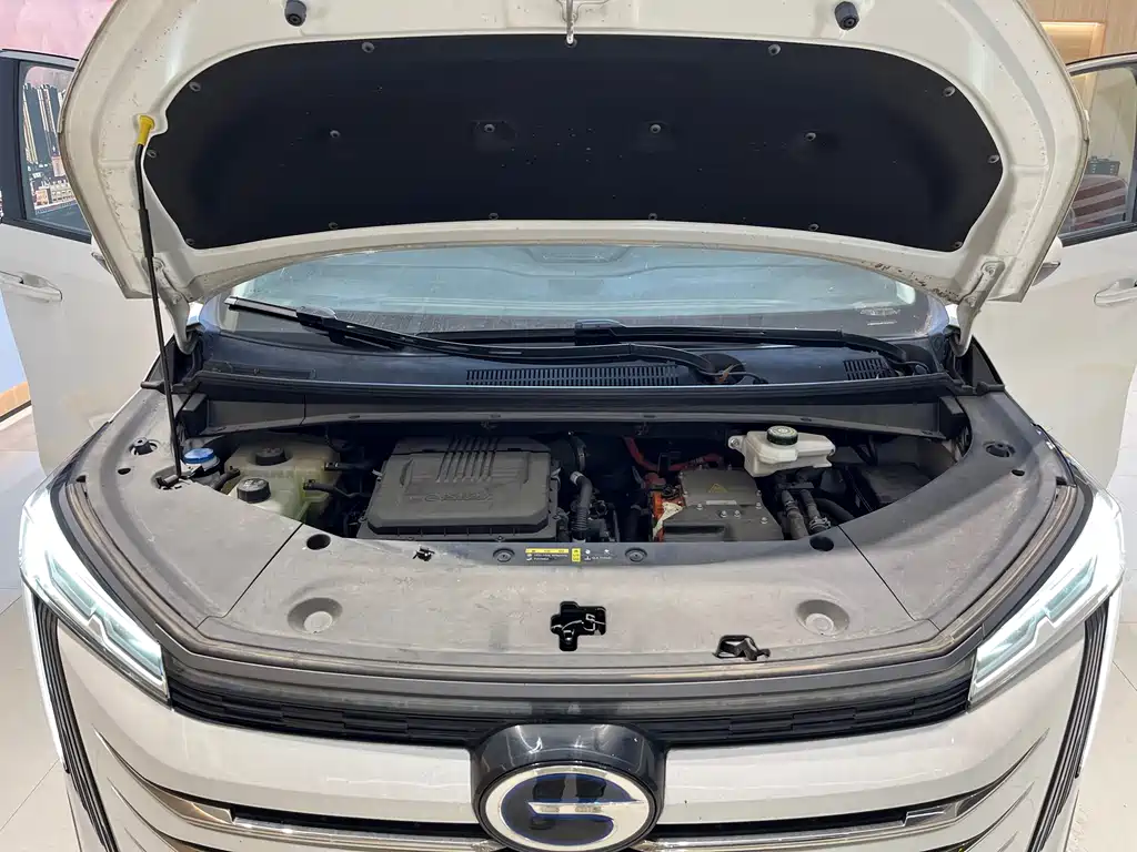 GAC Motor Trumpchi E9 2025 — фото 23