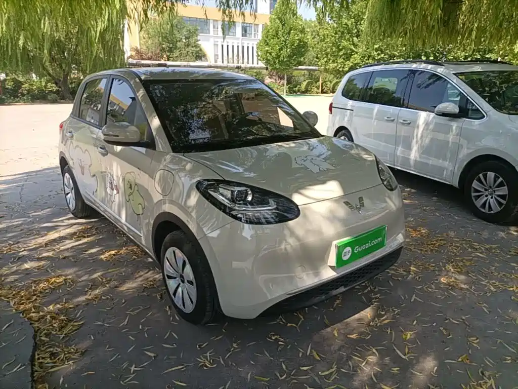 Wuling Bingo 2024