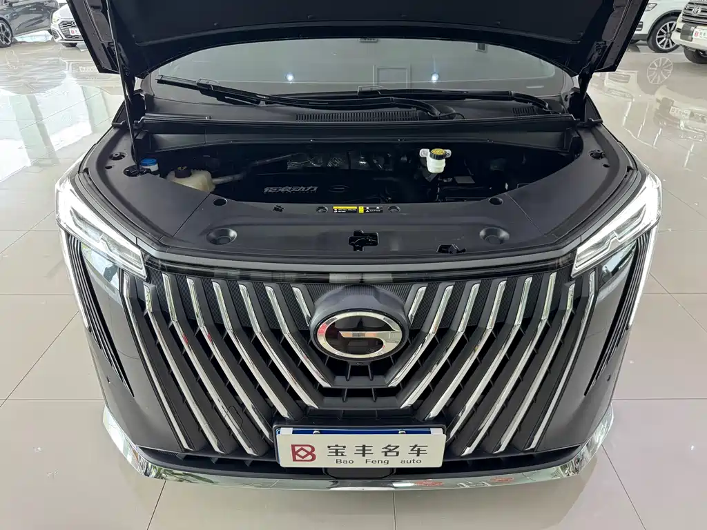 GAC Trumpchi M8 2024 — фото 20