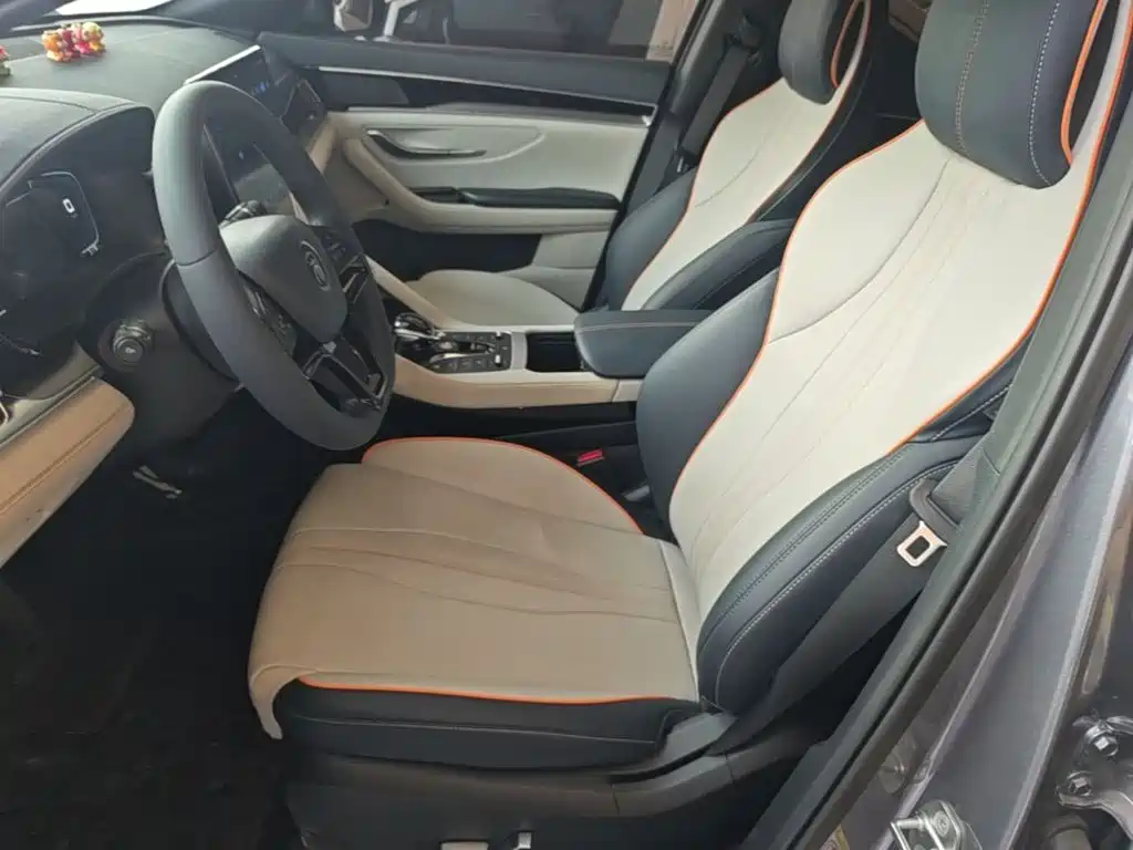 BYD Song PLUS New Energy 2023 — фото 15