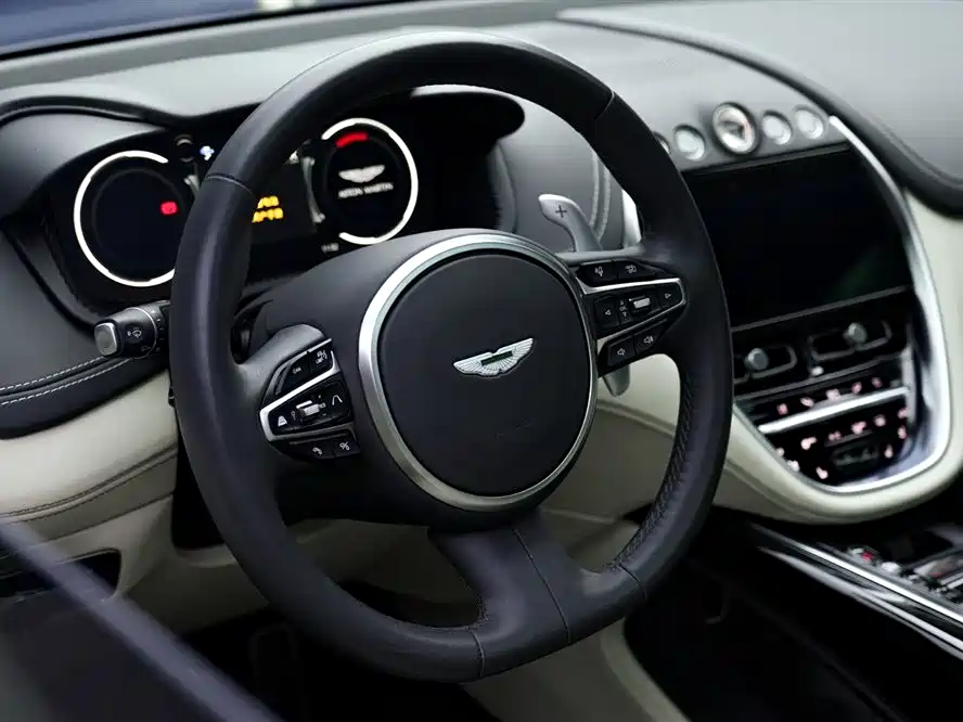 Aston Martin DBX 2023 — фото 16