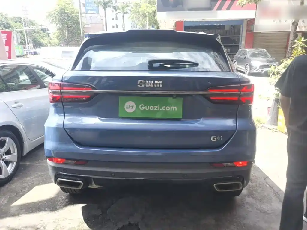 SWM G01 2019