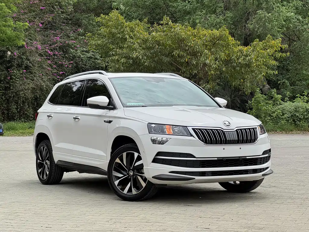 Skoda Karoq 2022 — фото 7