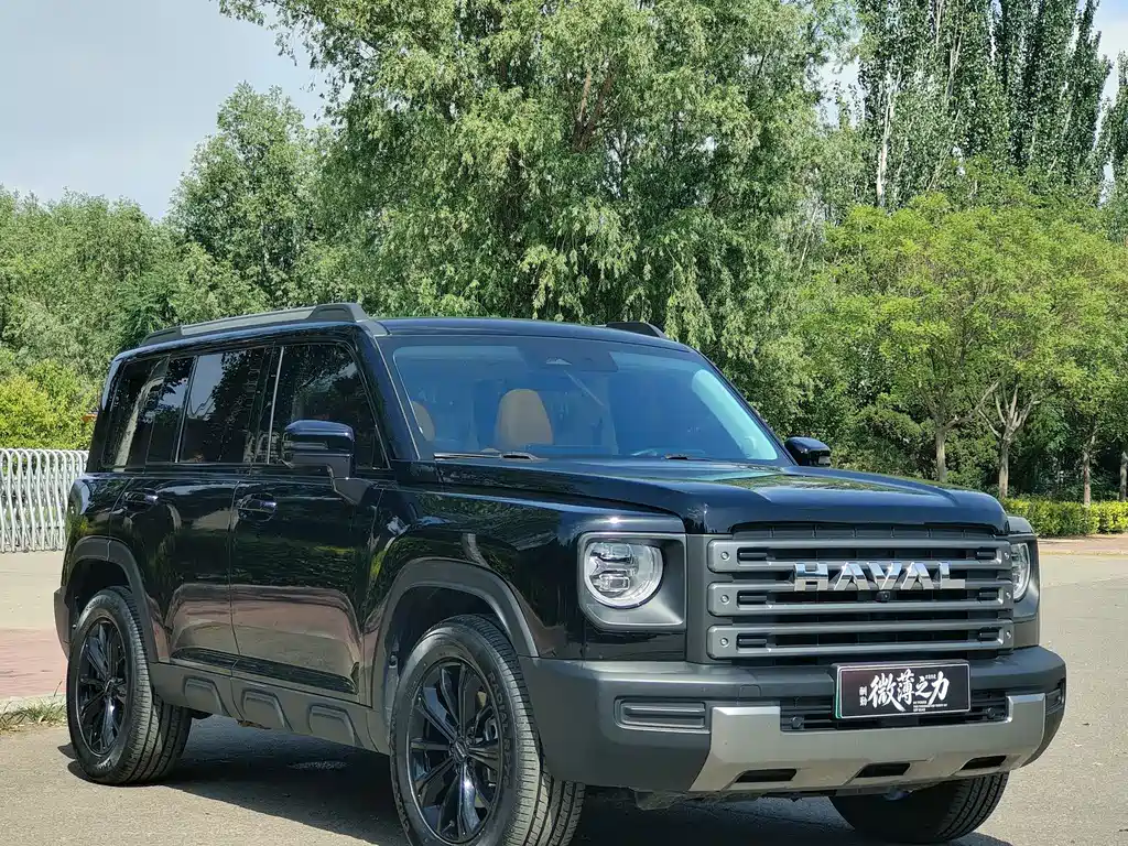 Haval Menglong New Energy 2024