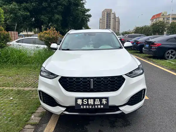 Wey VV6 2019