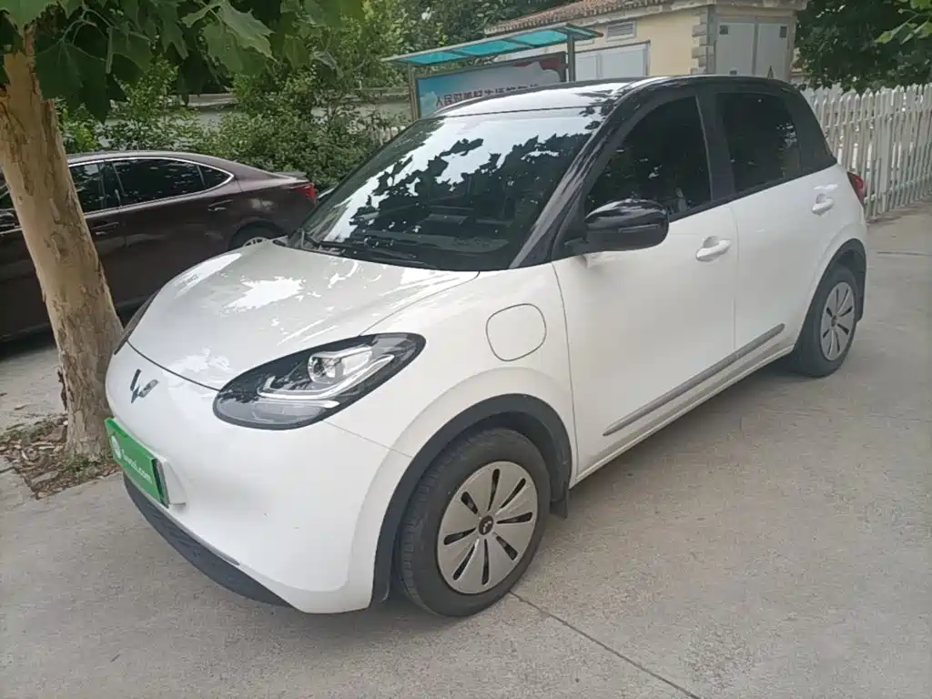 Wuling Bingo 2024