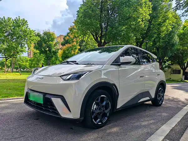 BYD Seagull 2024