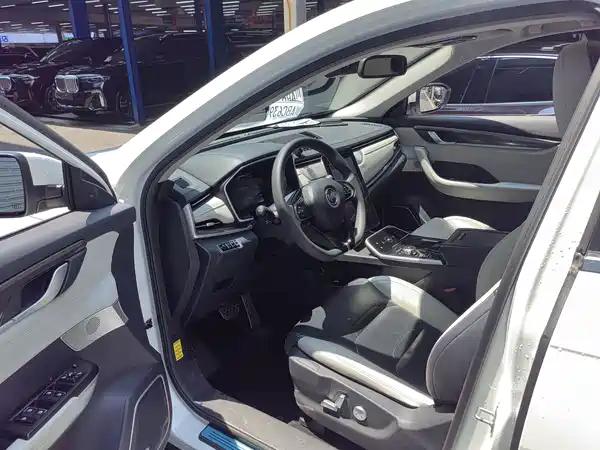 WM Motor EX5 2019
