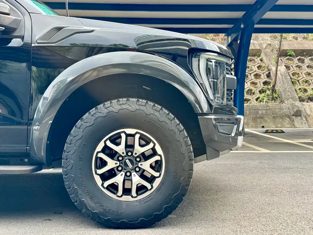 Ford F-150 Raptor 2024 — фото 9