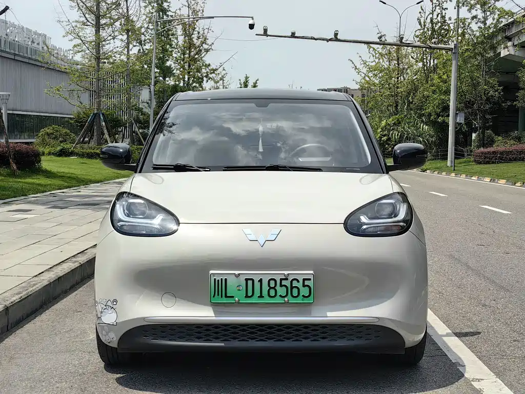 Wuling Bingo 2024