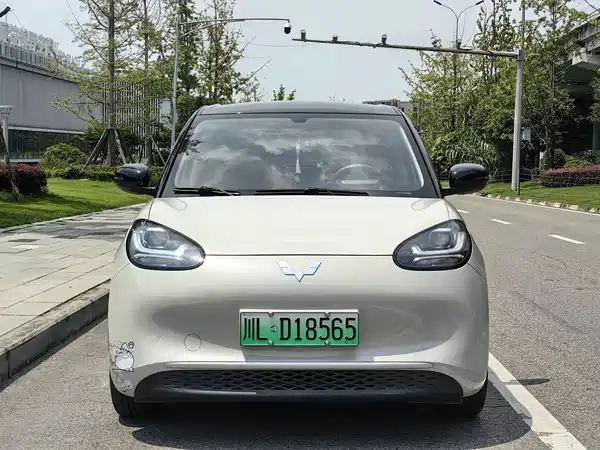 Wuling Bingo 2024
