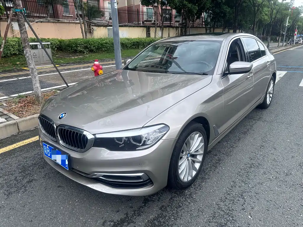 BMW 5 Series 2019