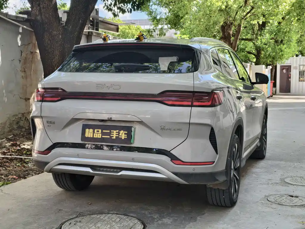 BYD Song PLUS New Energy 2024 — фото 11