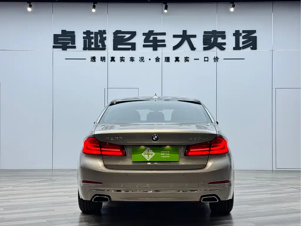 BMW 5 Series New Energy 2019