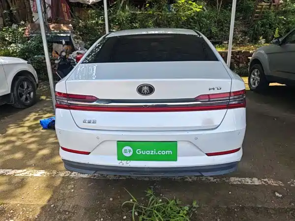 BYD Qin Pro 2019