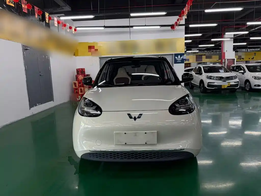 Wuling Bingo 2024