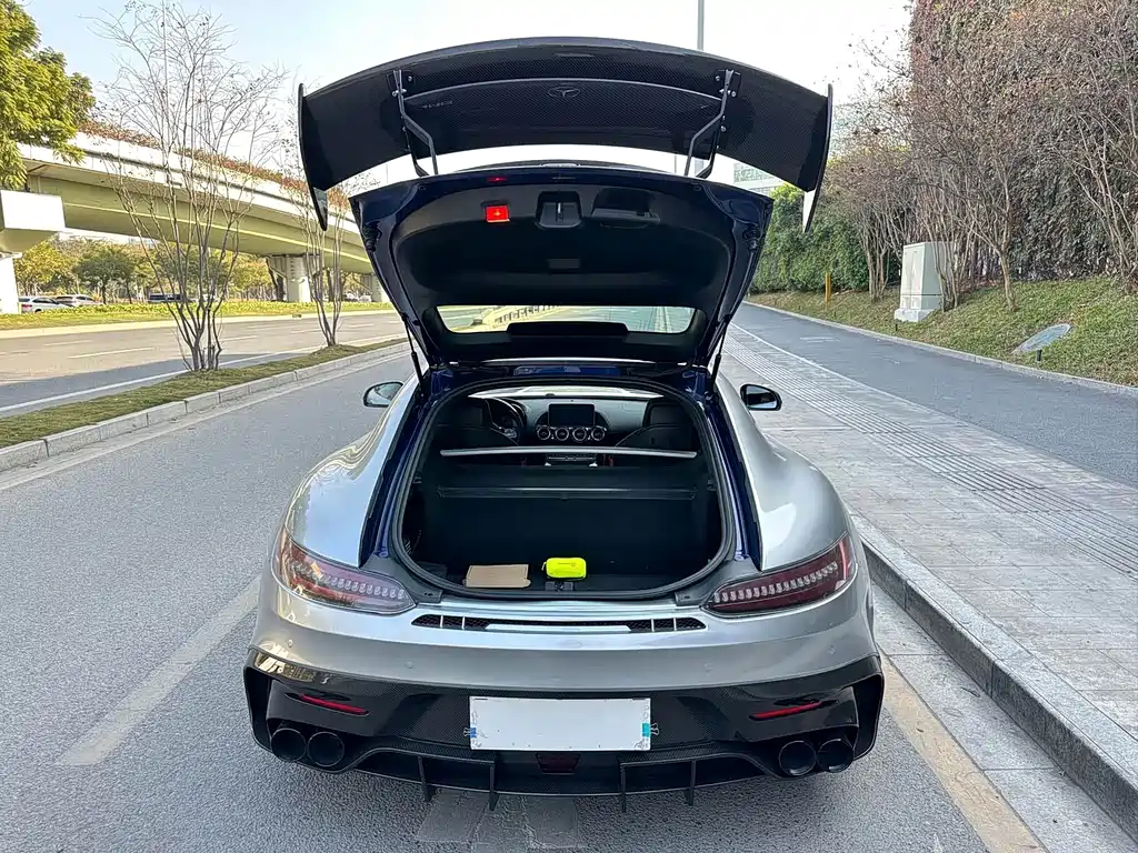 Mercedes-Benz AMG GT 2018 — фото 18