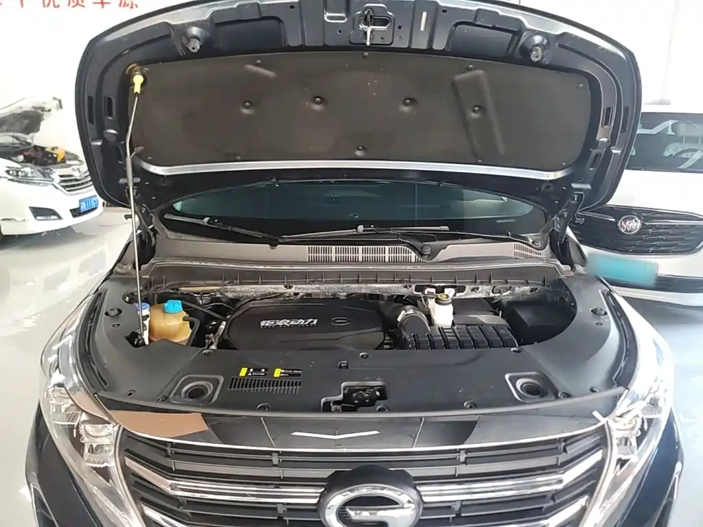 GAC Trumpchi M8 2023 — фото 20
